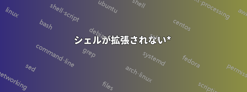 シェルが拡張されない*