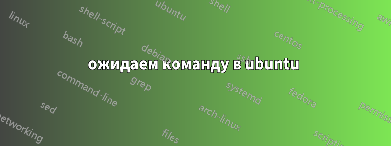 ожидаем команду в ubuntu