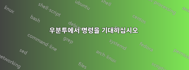 우분투에서 명령을 기대하십시오
