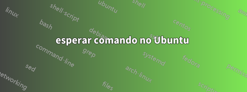 esperar comando no Ubuntu
