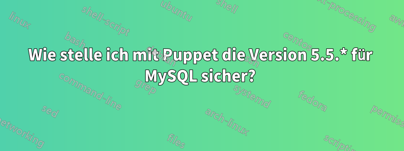 Wie stelle ich mit Puppet die Version 5.5.* für MySQL sicher?