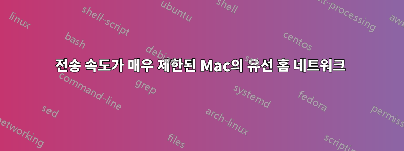전송 속도가 매우 제한된 Mac의 유선 홈 네트워크
