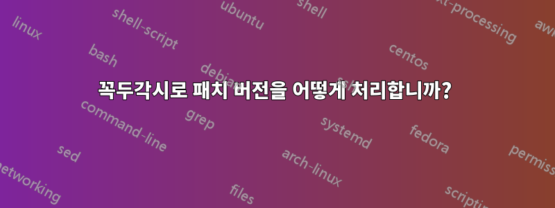 꼭두각시로 패치 버전을 어떻게 처리합니까?