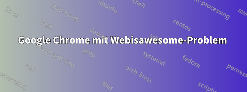 Google Chrome mit Webisawesome-Problem