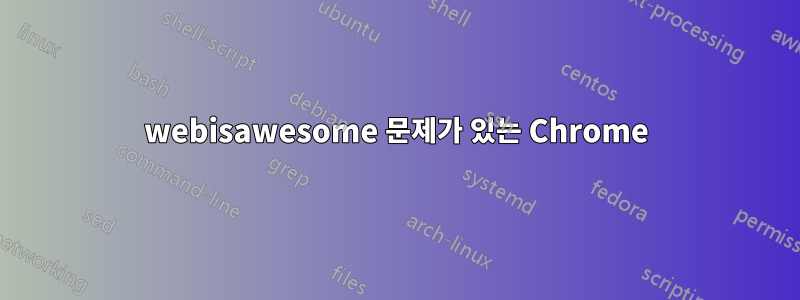 webisawesome 문제가 있는 Chrome
