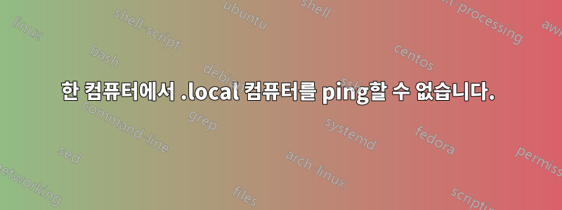 한 컴퓨터에서 .local 컴퓨터를 ping할 수 없습니다.