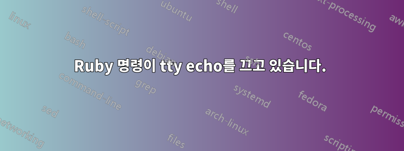 Ruby 명령이 tty echo를 끄고 있습니다.