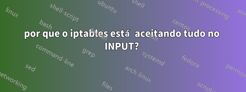 por que o iptables está aceitando tudo no INPUT?