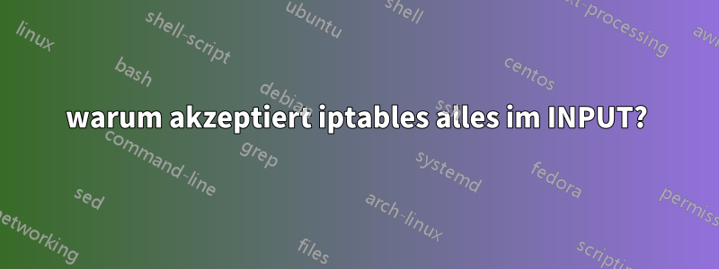 warum akzeptiert iptables alles im INPUT?