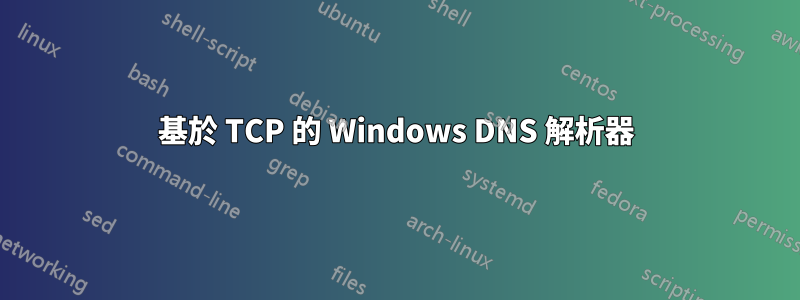 基於 TCP 的 Windows DNS 解析器