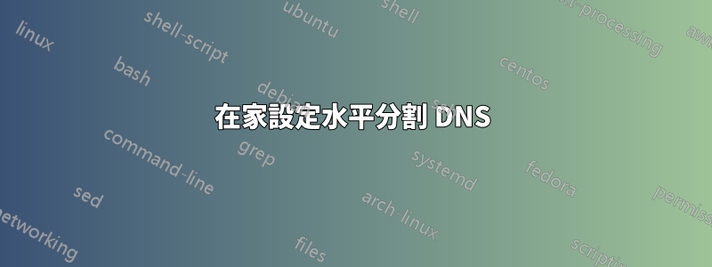 在家設定水平分割 DNS