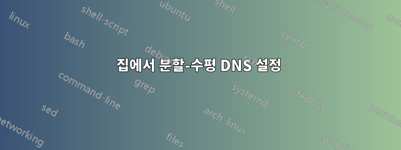 집에서 분할-수평 DNS 설정