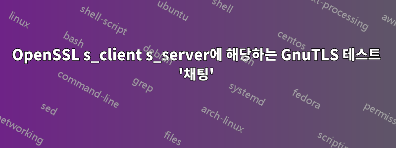 OpenSSL s_client s_server에 해당하는 GnuTLS 테스트 '채팅'