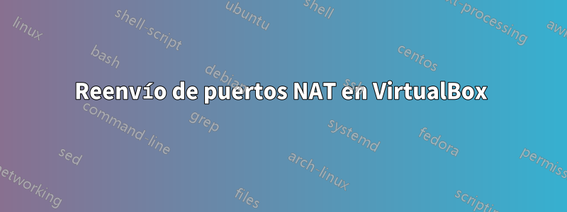 Reenvío de puertos NAT en VirtualBox