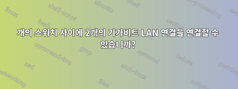 2개의 스위치 사이에 2개의 기가비트 LAN 연결을 연결할 수 있습니까?