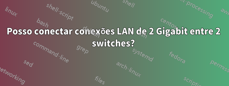 Posso conectar conexões LAN de 2 Gigabit entre 2 switches?