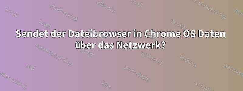 Sendet der Dateibrowser in Chrome OS Daten über das Netzwerk?