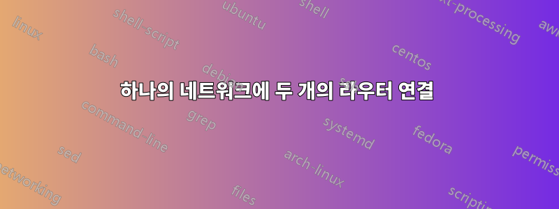 하나의 네트워크에 두 개의 라우터 연결