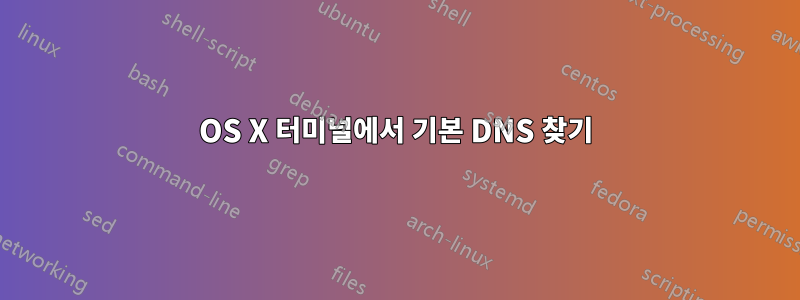 OS X 터미널에서 기본 DNS 찾기