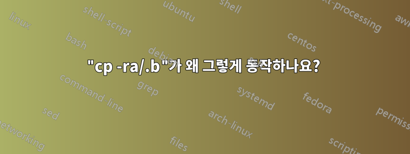 "cp -ra/.b"가 왜 그렇게 동작하나요?