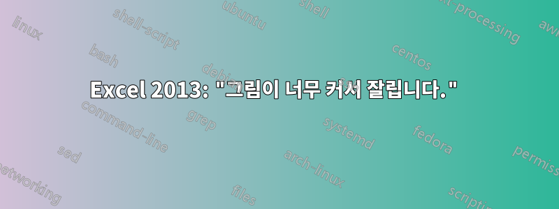 Excel 2013: "그림이 너무 커서 잘립니다."