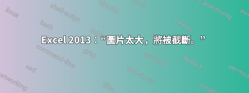 Excel 2013：“圖片太大，將被截斷。”