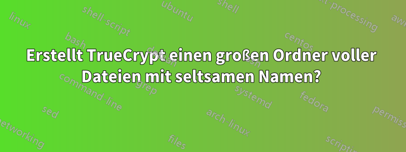 Erstellt TrueCrypt einen großen Ordner voller Dateien mit seltsamen Namen?