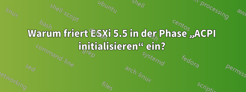 Warum friert ESXi 5.5 in der Phase „ACPI initialisieren“ ein?