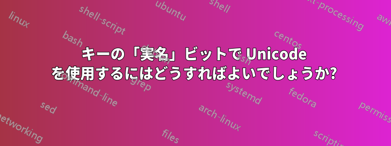 キーの「実名」ビットで Unicode を使用するにはどうすればよいでしょうか?