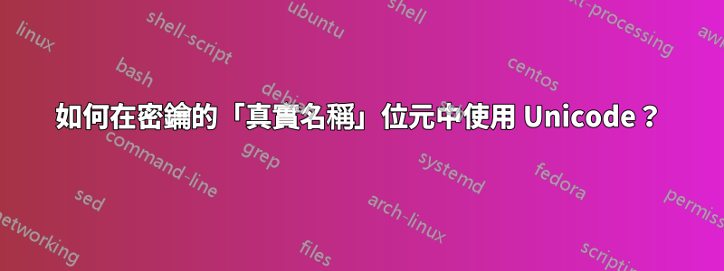 如何在密鑰的「真實名稱」位元中使用 Unicode？