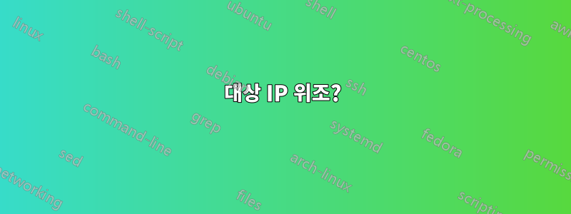 대상 IP 위조?