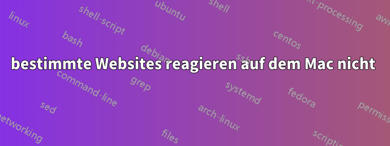 bestimmte Websites reagieren auf dem Mac nicht