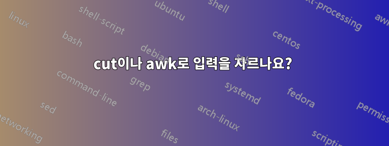 cut이나 awk로 입력을 자르나요?