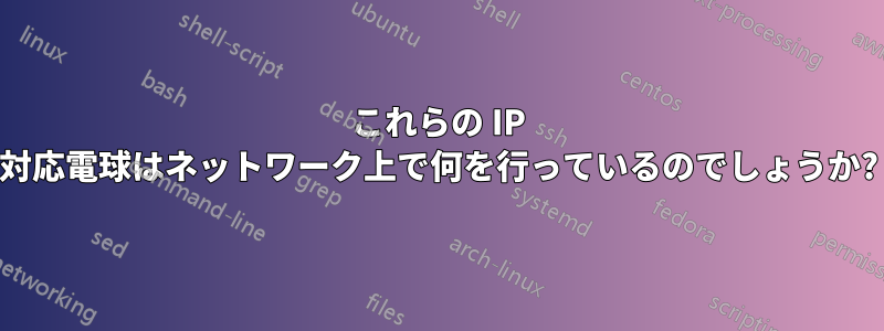 これらの IP 対応電球はネットワーク上で何を行っているのでしょうか?