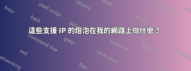 這些支援 IP 的燈泡在我的網路上做什麼？