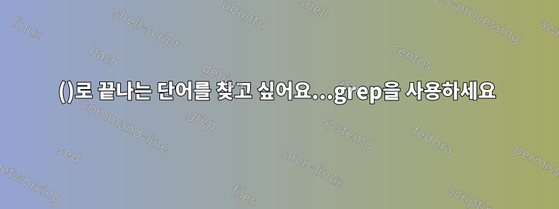 ()로 끝나는 단어를 찾고 싶어요...grep을 사용하세요