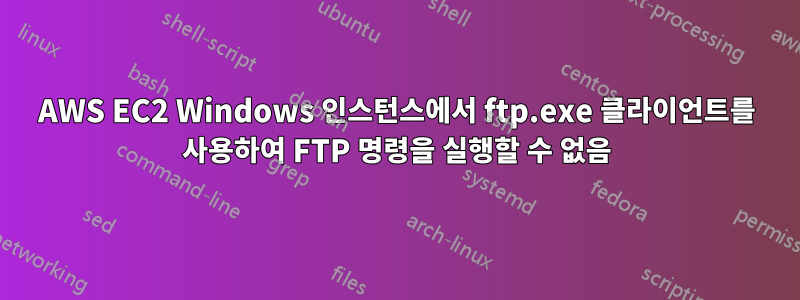 AWS EC2 Windows 인스턴스에서 ftp.exe 클라이언트를 사용하여 FTP 명령을 실행할 수 없음