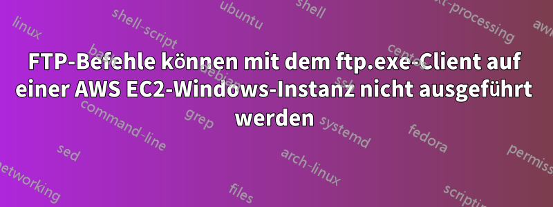 FTP-Befehle können mit dem ftp.exe-Client auf einer AWS EC2-Windows-Instanz nicht ausgeführt werden