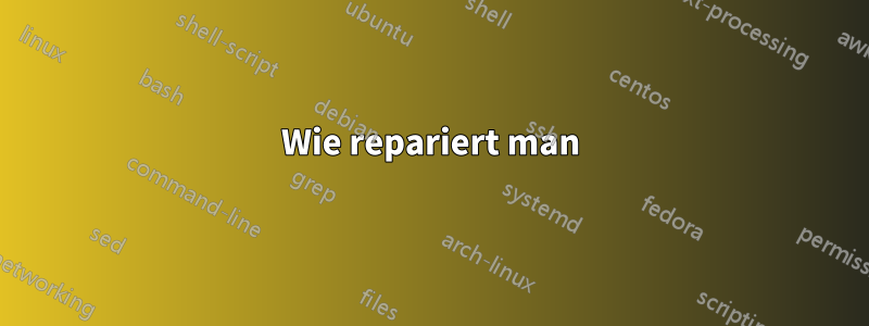 Wie repariert man