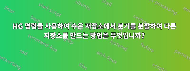 HG 명령을 사용하여 수은 저장소에서 분기를 분할하여 다른 저장소를 만드는 방법은 무엇입니까?