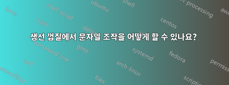 생선 껍질에서 문자열 조작을 어떻게 할 수 있나요?