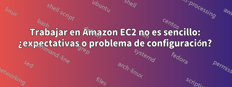 Trabajar en Amazon EC2 no es sencillo: ¿expectativas o problema de configuración?