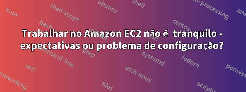 Trabalhar no Amazon EC2 não é tranquilo - expectativas ou problema de configuração?