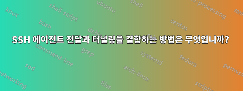 SSH 에이전트 전달과 터널링을 결합하는 방법은 무엇입니까?