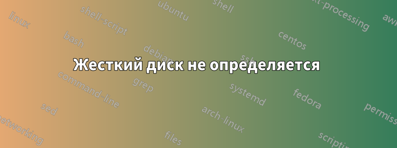 Жесткий диск не определяется