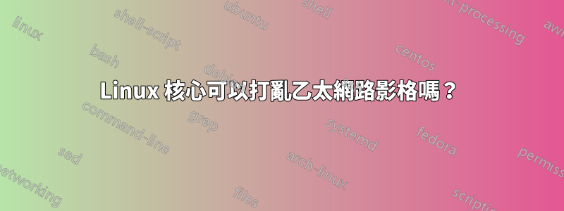 Linux 核心可以打亂乙太網路影格嗎？