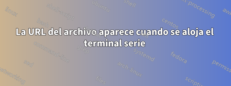 La URL del archivo aparece cuando se aloja el terminal serie