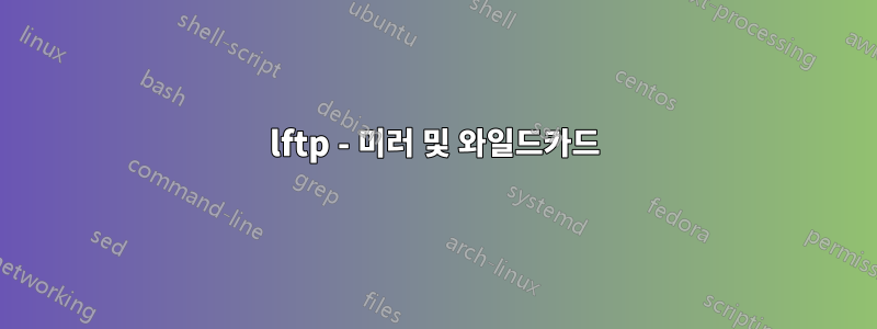 lftp - 미러 및 와일드카드