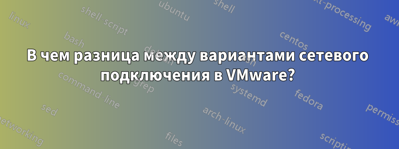 В чем разница между вариантами сетевого подключения в VMware?