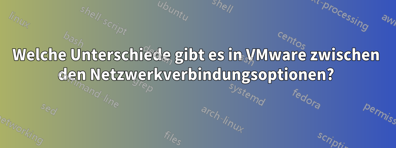 Welche Unterschiede gibt es in VMware zwischen den Netzwerkverbindungsoptionen?